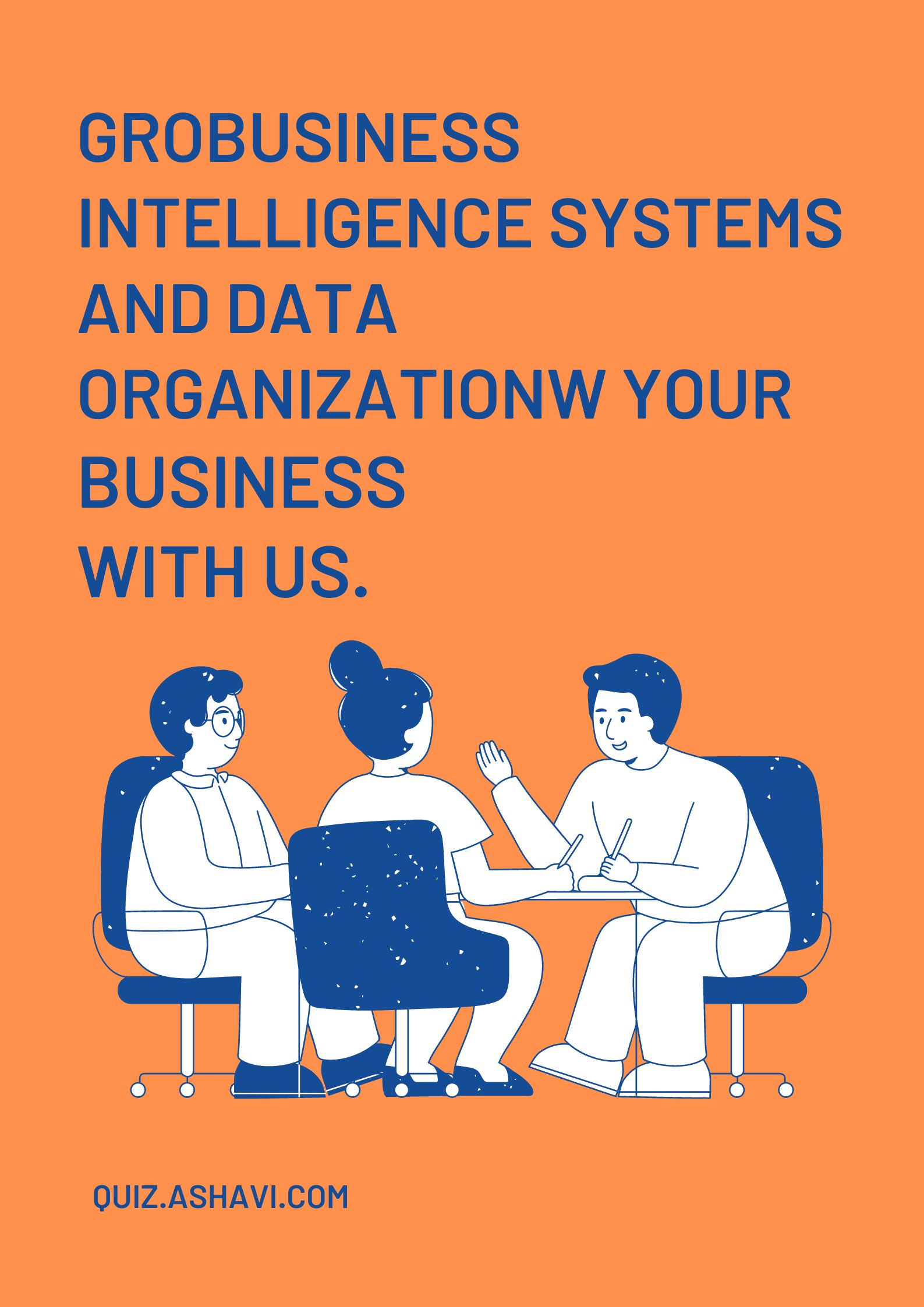 Business Intelligence Systems and Data Organization